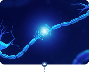 Neura - Supporting neurotransmitter