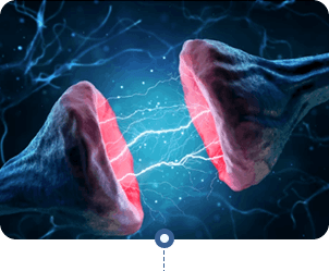 Neura - Enhancing membrane integrity